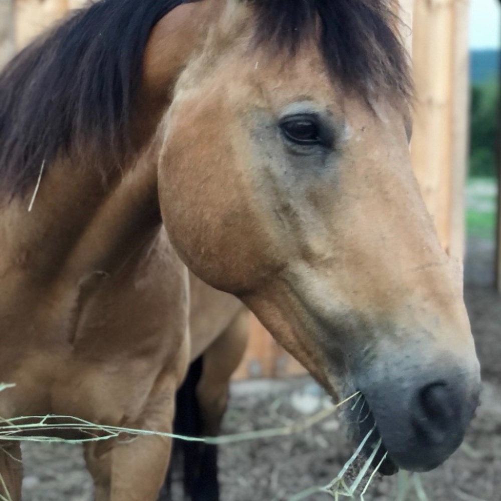 Meet your Posher, James